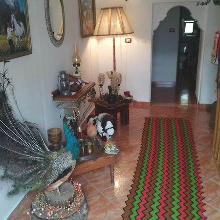 Karafil Guesthouse Гирокастра Экстерьер фото